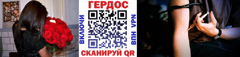 как найти   Нестеров  ГЕРОИН гречка 