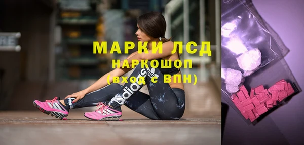 гидра Алексеевка