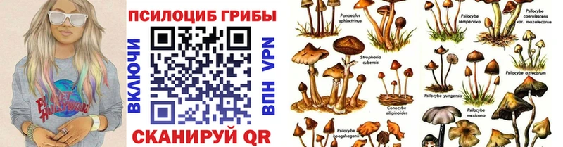 Галлюциногенные грибы Psilocybe blacksprut маркетплейс Нестеров